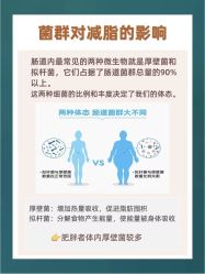 -东方美美容SPA会所