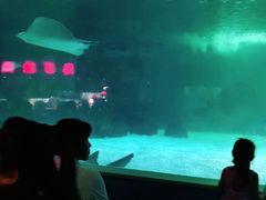 -常州海昌海洋探索馆