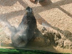 -海合安武汉极地海洋公园
