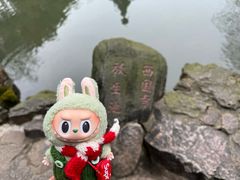 -西园戒幢律寺