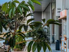 -SAANCI山池咖啡(海上世界文化艺术中心店)