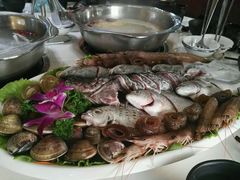 -欢乐海岸美食联盟