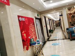 -碧莲盛·不剃发植发