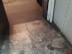 -阿伟海鲜楼·福建菜(涵江店)