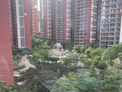 -张记荞面馆