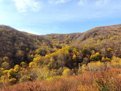 -塞罕坝国家级自然保护区