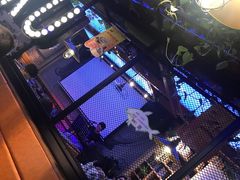 -鱼库·不仅是一家烤鱼店(车公庙店)