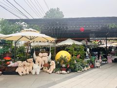 -京北渔家傲