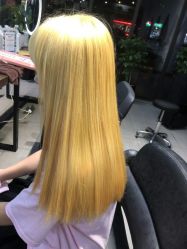 -魔型社