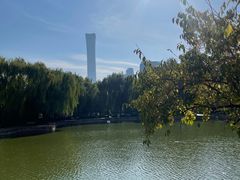 -团结湖公园