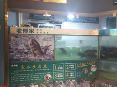-老傅家湘潭水煮活鱼店(众一国际店)