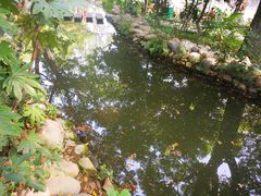 -成都市活水公园