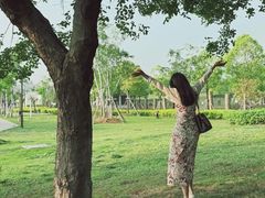 -盘龙城国家考古遗址公园