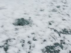 -小八仙·宴(三峡茶庄店)