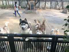 -TrueLove @ Neverland (Husky Cafe)