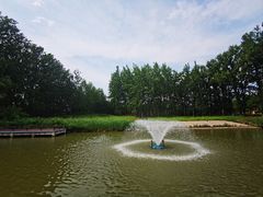 -翠湖国家城市湿地公园