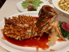 -得月楼·省级非遗·传统苏帮菜(观前店)
