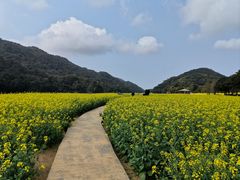 景点-广州市石门国家森林公园