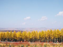 -塞罕坝国家级自然保护区