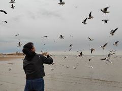 -老虎石海上公园