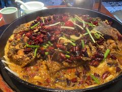 -老板恋上鱼(高新万达店)