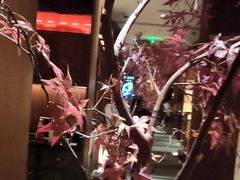 -揽季锅物会.福建黄鱼.海鲜姿造(五四路店)