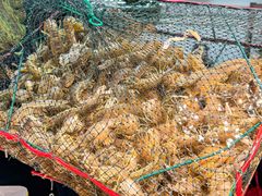 -养牛邓·潮汕牛肉海鲜自助火锅(广州店)