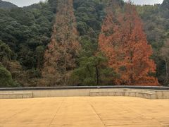 -天明山温泉大酒店