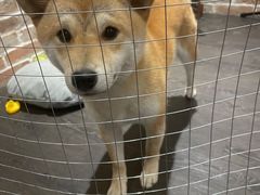 -呼吸沉浸式剧场(甘露园店)