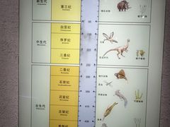 -烟台市博物馆