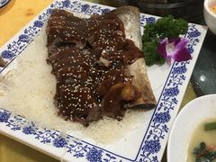 -鲤鱼塘农家山庄