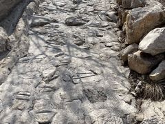 -鸡鸣山旅游风景区