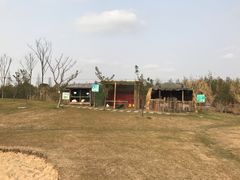 -明珠湖天鹅苑·农家菜馆