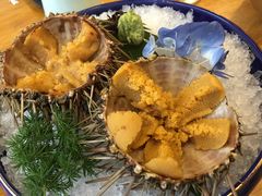 -渔藤(万柳东路店)