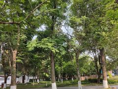 -成都市文化公园