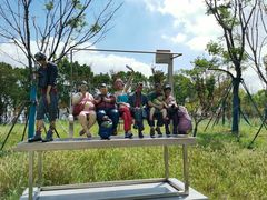 -南汇嘴观海公园