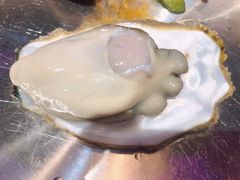 -蚝堡海鲜·威海菜·海肠捞饭·烧烤·亚洲吃蚝公司(幸福门店)