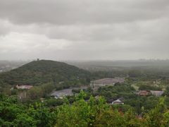 -上海佘山国家森林公园西佘山园