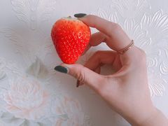 -晶宝温泉农庄