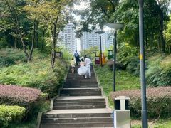 -重庆彩云湖湿地公园