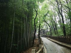 -灵岩山风景区