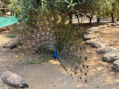 -宁波杭州湾国家湿地公园