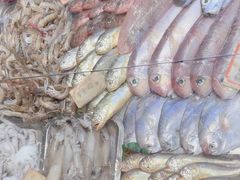 -金秋小吃海鲜·专注30年临海特色风味
