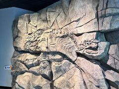 -正佳自然科学博物馆