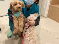 -美迦爱-牙专科·兔科·骨科诊疗中心(北苑店)