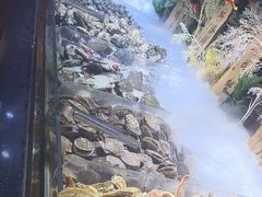 -聚盛源蒸汽海鲜火锅烤肉自助(巨川金海岸购物广场店)