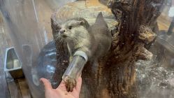 -Zoolung Zoolung动物主题公园(海信广场店)