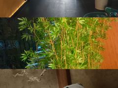 -新紫霞养生·影院足道·SPA(金山区店)