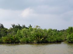 -东寨港红树林旅游区