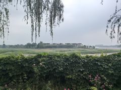 -青龙湖公园